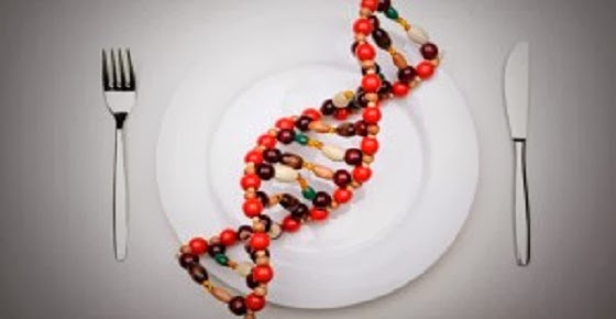 Common Modern Foods Which Cause DNA Damage