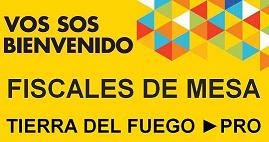 PRO Fiscales