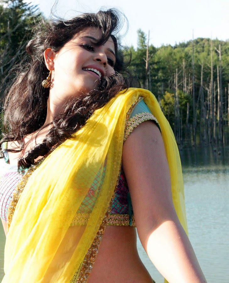 anjali hot in saree anjali hot in saree