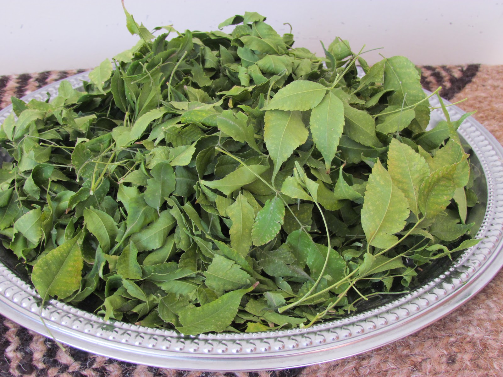 The Home Manager's Junction Preserving Grains Using Neem Leaves(Indian