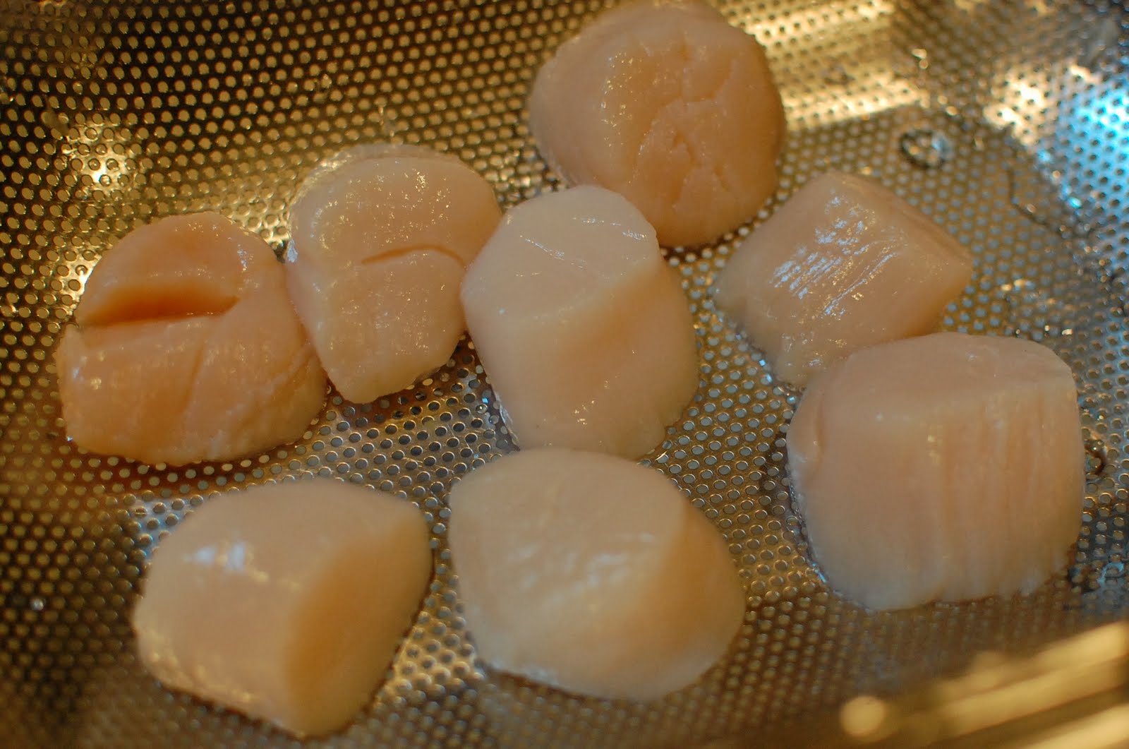 Reckless Abandon Sea Scallops with White Wine Mushroom Sauce