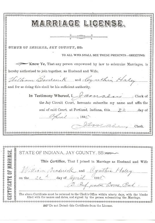 Marriage License & Return William Broderick to Cynthia Haley, 1895