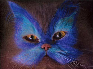Cats and my Girl: Dye your Cat?