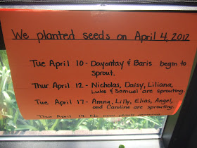 Cachey Mama's World of Learning: 10 Plant Activities for Preschool