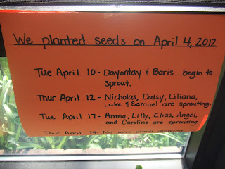 Cachey Mama's World of Learning: 10 Plant Activities for Preschool