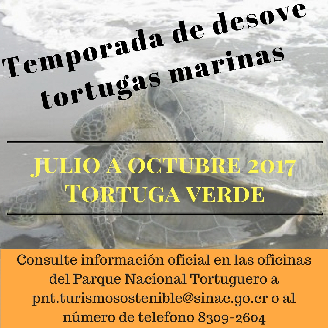 TEMPORADA TORTUGAS 2017