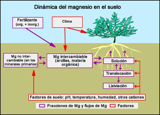 FUNDAMENTOS DE LA CIENCIA: IMPORTANCIA DE LA VIDA EN EL FUNDAMENTOS DE LA CIENCIA: IMPORTANCIA DE LA VIDA EN EL