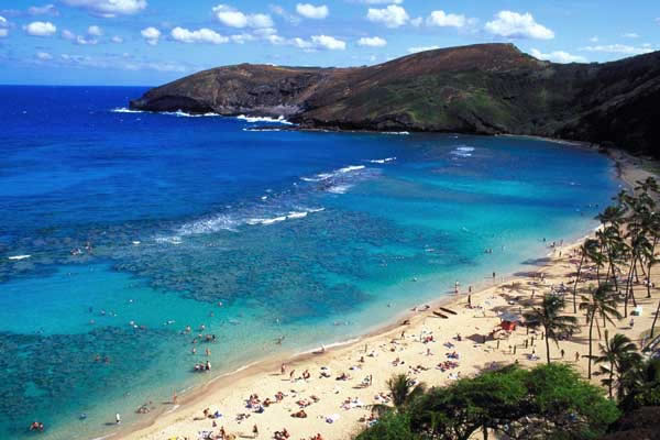 Hawaii Wikipedia