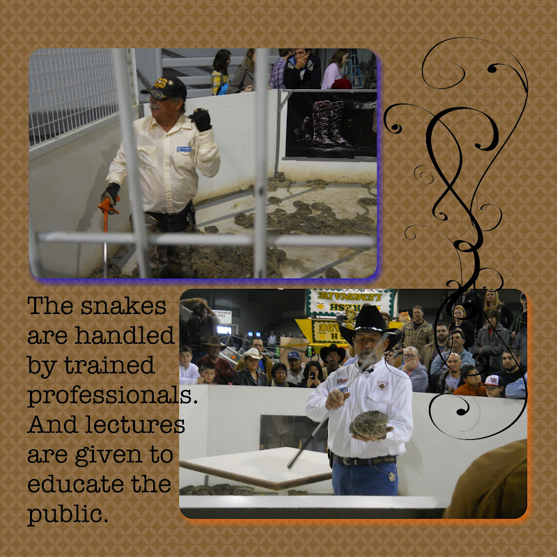 Texas Carbine's Rattlesnake Roundup