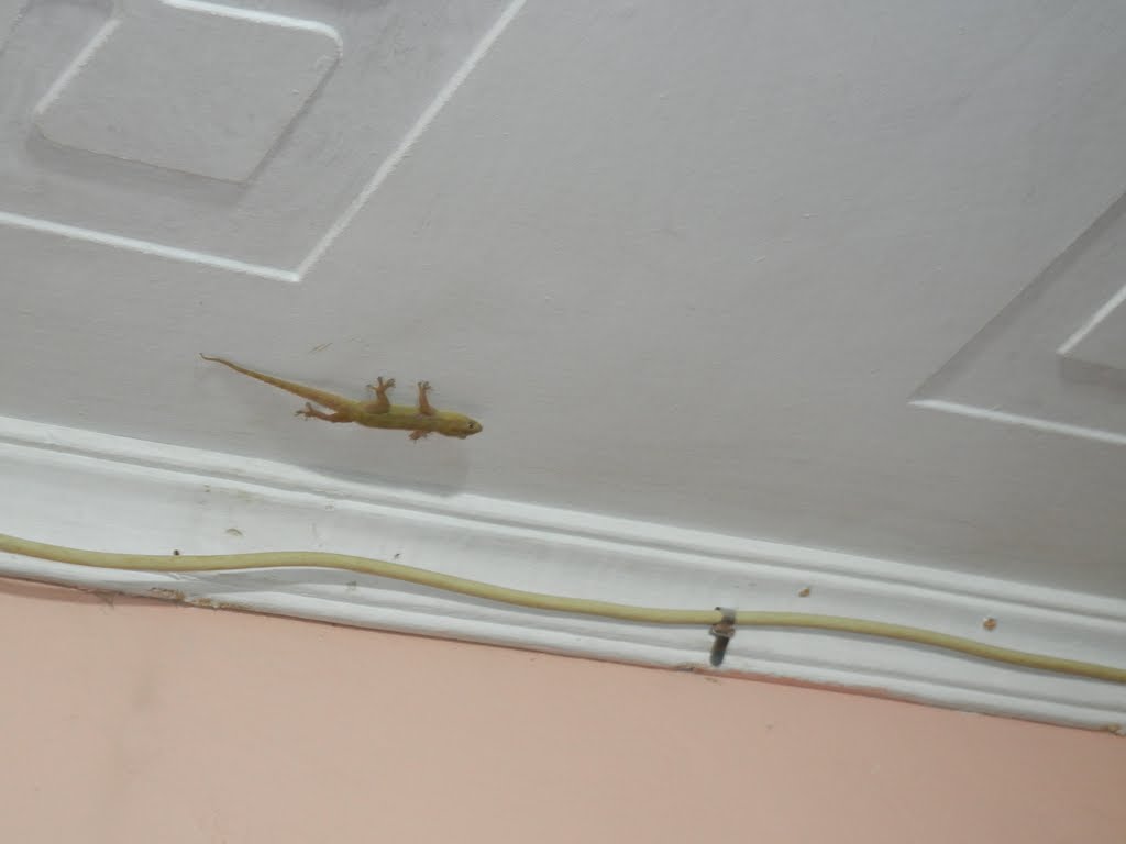 Pack Light Live Long And Travel Far New Roommates