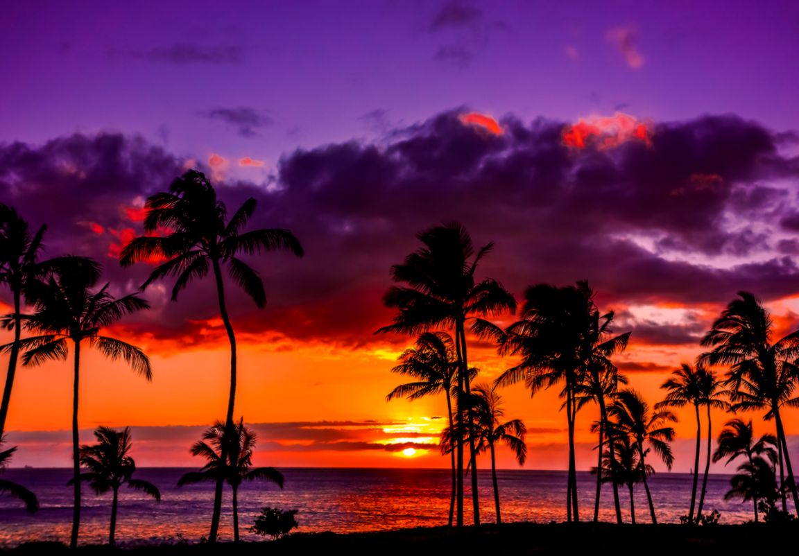 Hawaiian Sunset — Recipes Hubs Hawaiian Sunset — Recipes Hubs