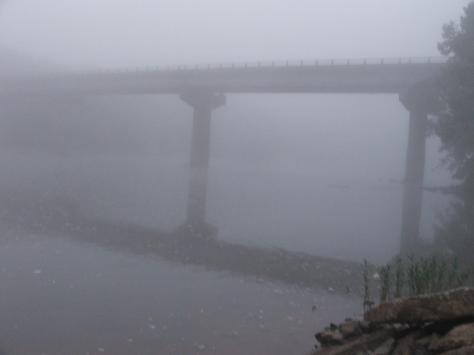 Fog Water