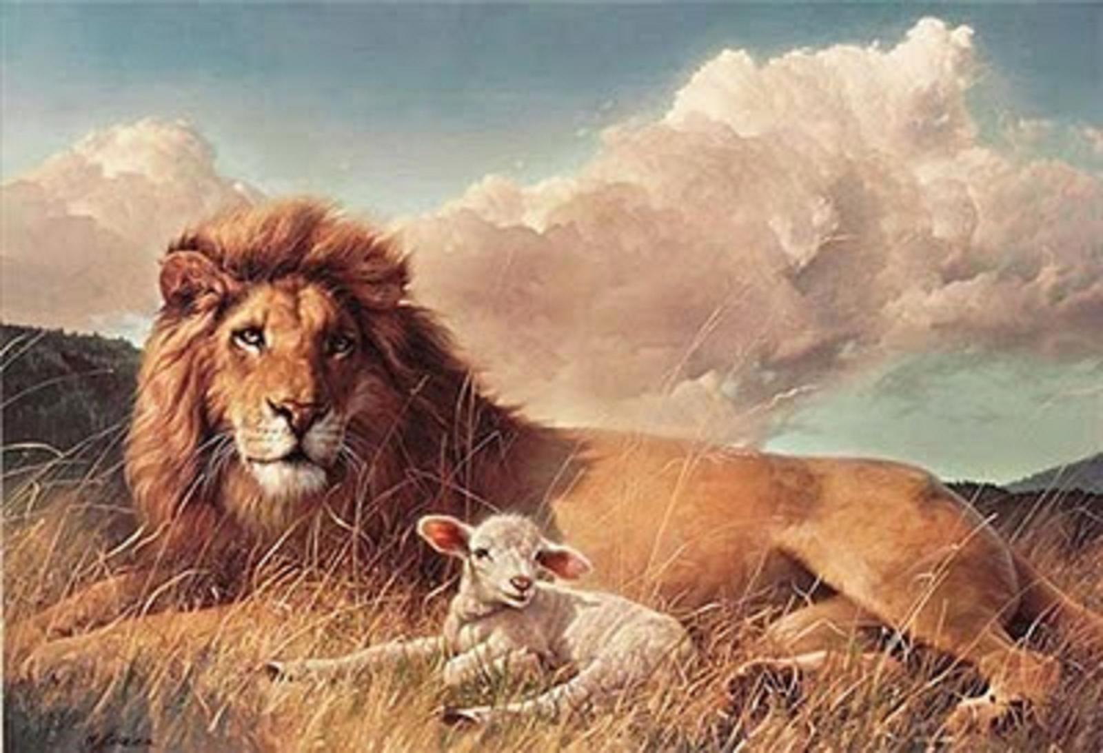 Genesis - The Lamb Lies Down On Broadway Genesis - The Lamb Lies Down On Broadway