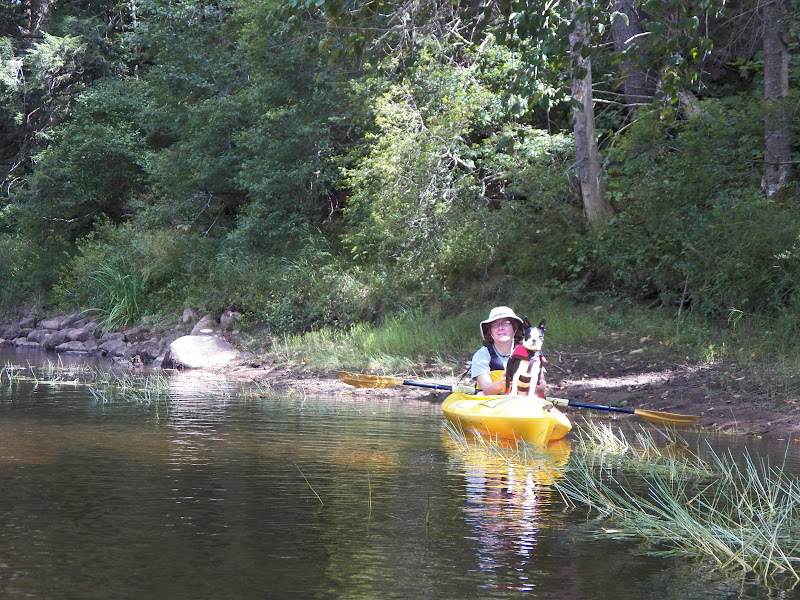 Quiet Kayaking in New York State North Branch of the Moose River, Part Two
