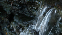 Water rushes down a small area of a brook and almost creates a miniature waterfall