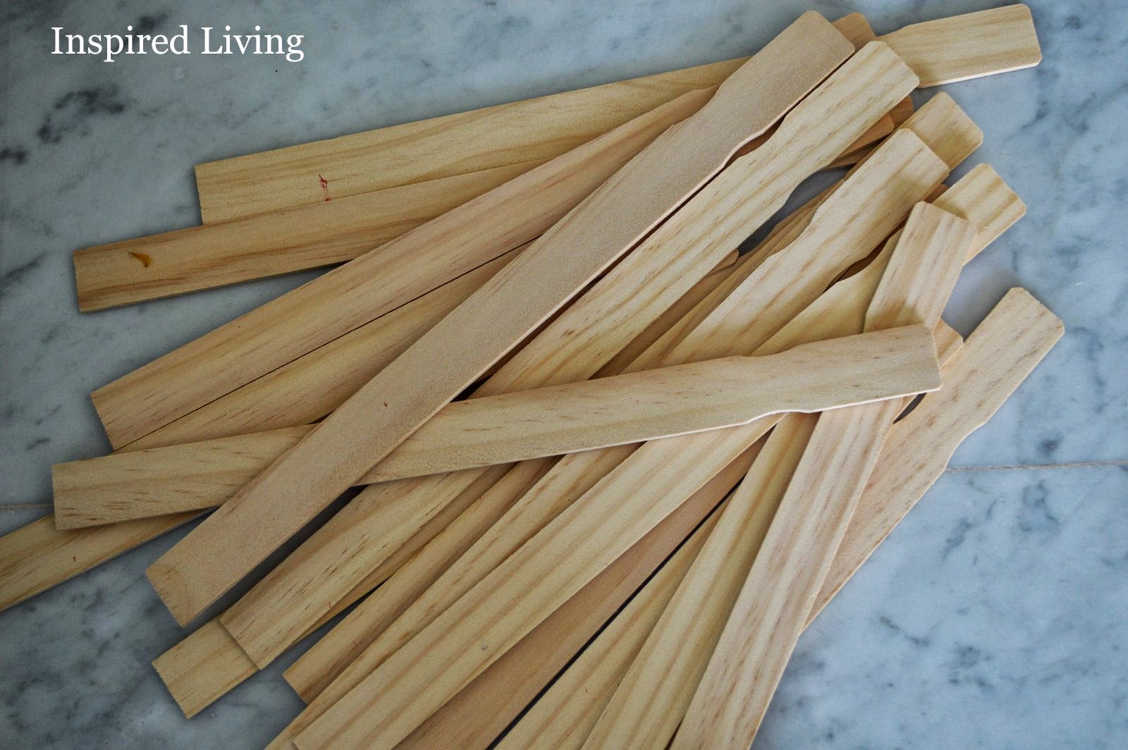 Inspired Living Garden Stakes