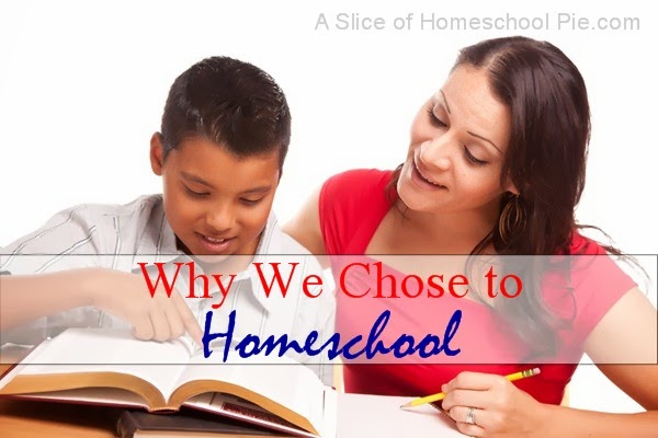 Why We Chose to Homeschool