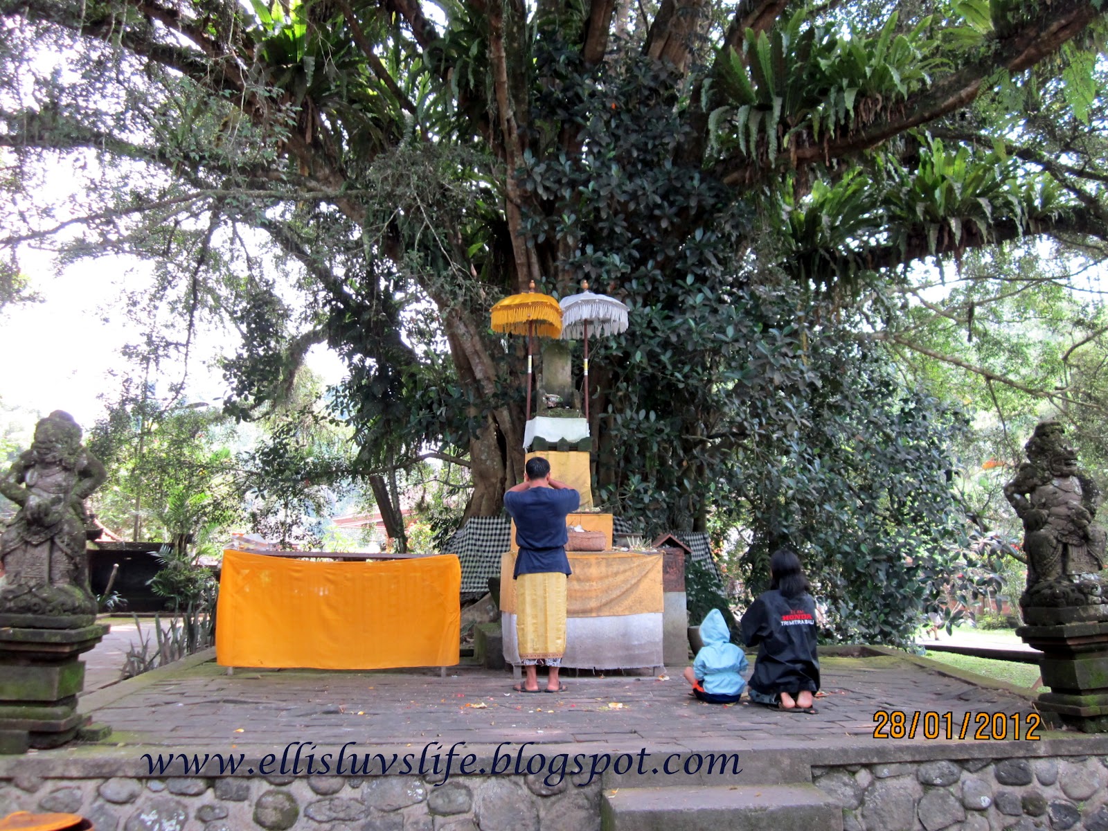 site de rencontre dentiste