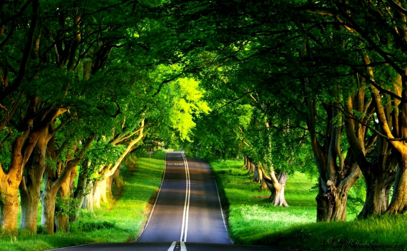 Wallpaper Nature page 6 Wallpaper Nature page 6