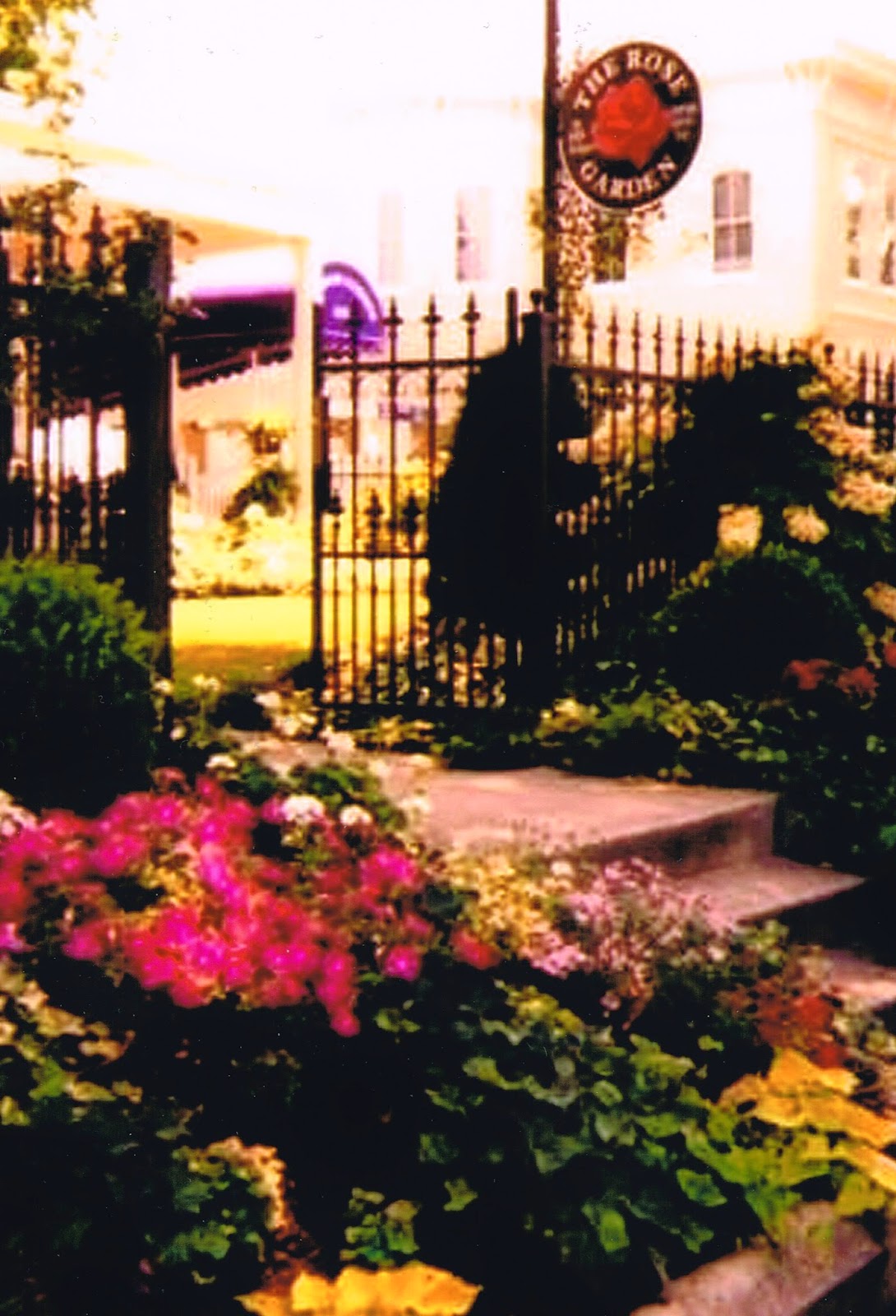 LAVENDER BLUE GARDEN DESIGN THE ROSE GARDEN TEA ROOM AND COURTYARD