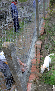 Four workmen on one small section of fence Four workmen on one small section of fence