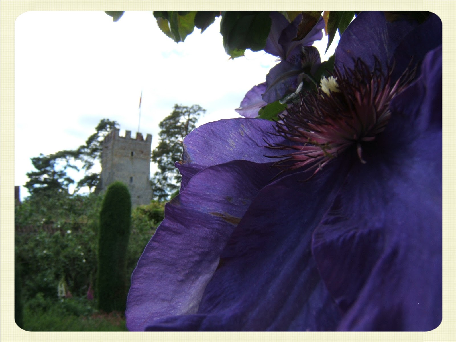 Cream Tea Queen Greys Court, near HenleyonThames
