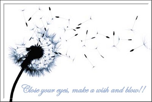 A Day in My Life!: Close your eyes, make a wish and blow!