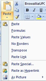 Paste Command in Excel'sClipboard
