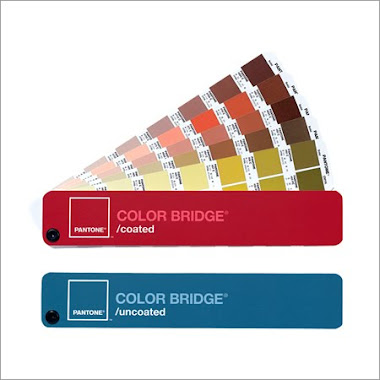 Pantone color bridge