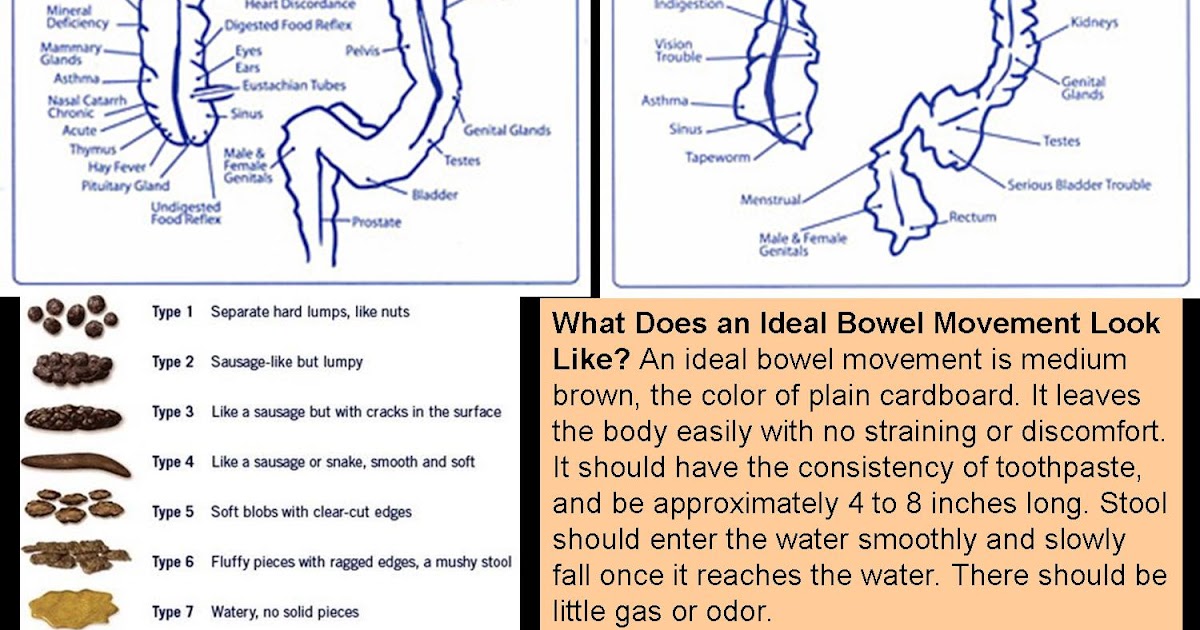 Dr Mat: Stool - Healthy and Unhealthy Stool. What does your stool say