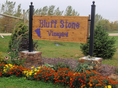 Bluff Stone Vineyard Completing The Geneva Double Curtain Trellis