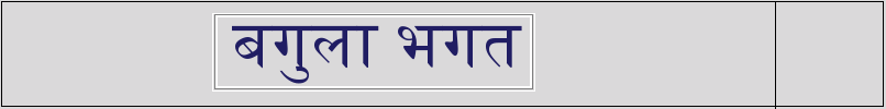 बगुला भगत