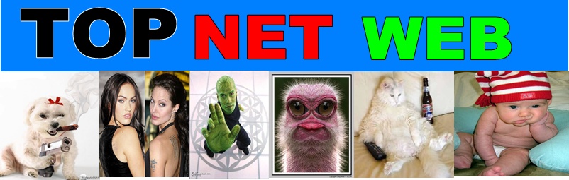 Top Net Web