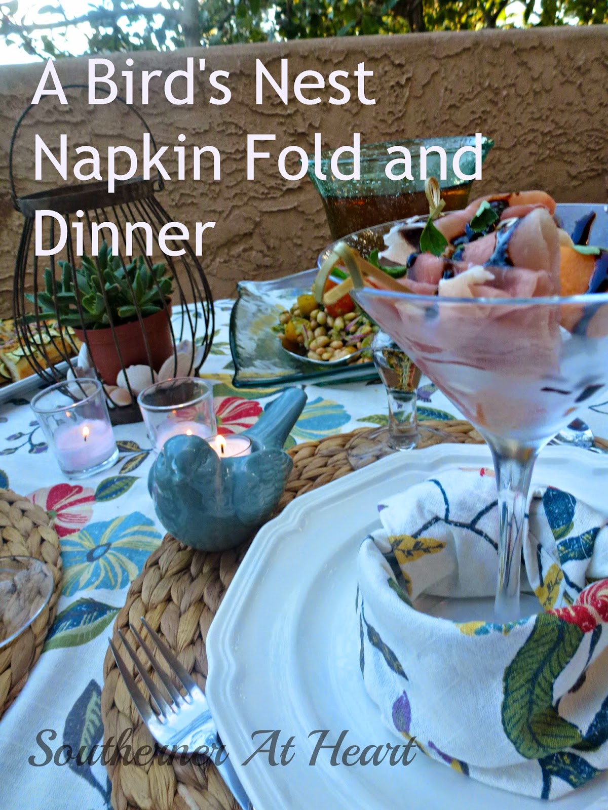 Southerner At Heart A Bird's Nest Napkin Fold and Dinner!