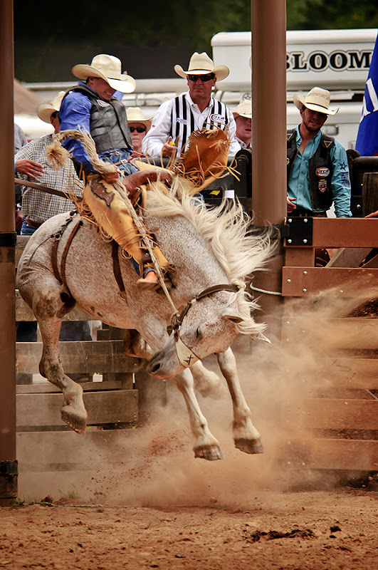 Dakotagraph Some quick rodeo photography tips