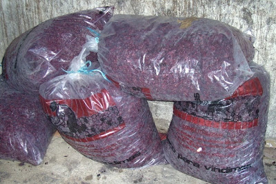 Aguardente Bagaceira Paraiso