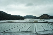 シドニー徒然草-雪の田園風景