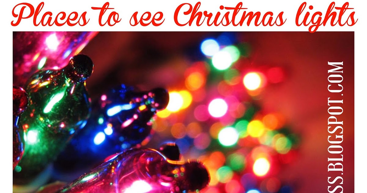 Immortal Fitness 15 places to see Christmas lights in the Tampa Bay area