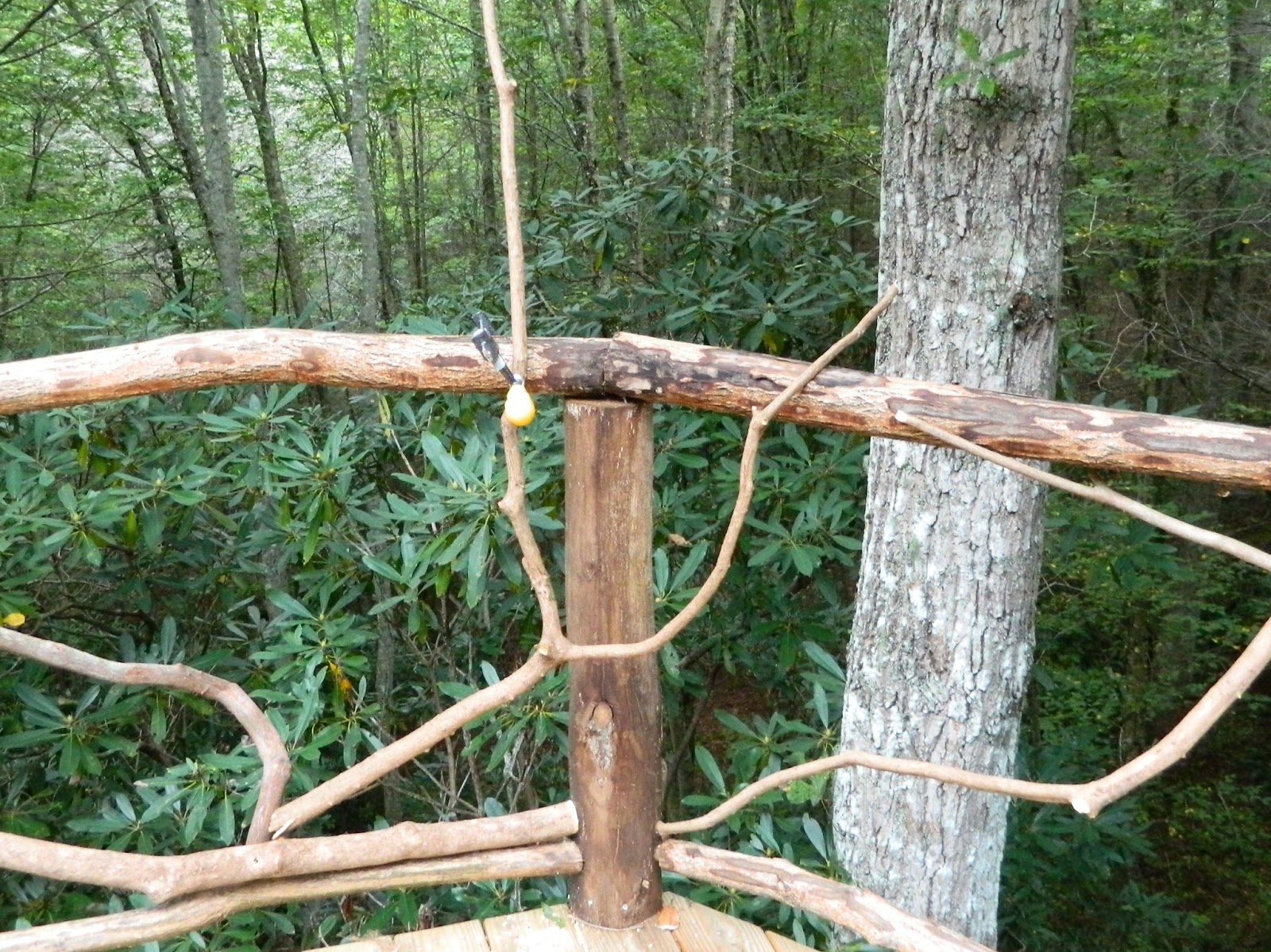 Lise's Log Cabin Life: Building Rustic Deck Railing...We're Getting There