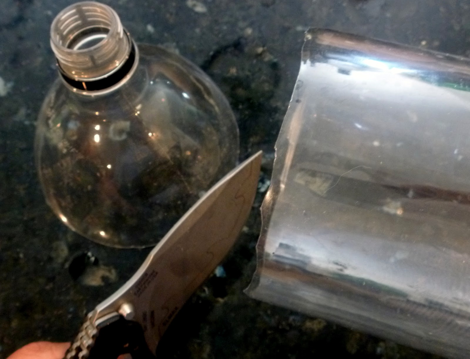 Got Flies ? Make This Easy DIY Fly Catcher out of a Soda Bottle Fresh