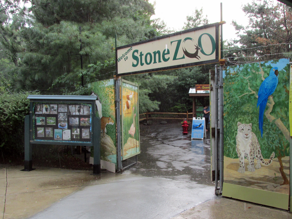 Amusement Park... Stuff That time I went to the Zoo but the bears were