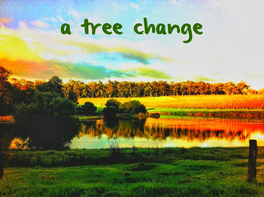A Tree Change
