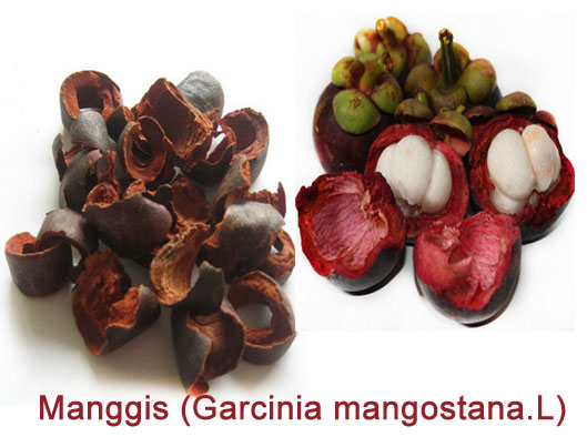 kulit+manggis.jpg