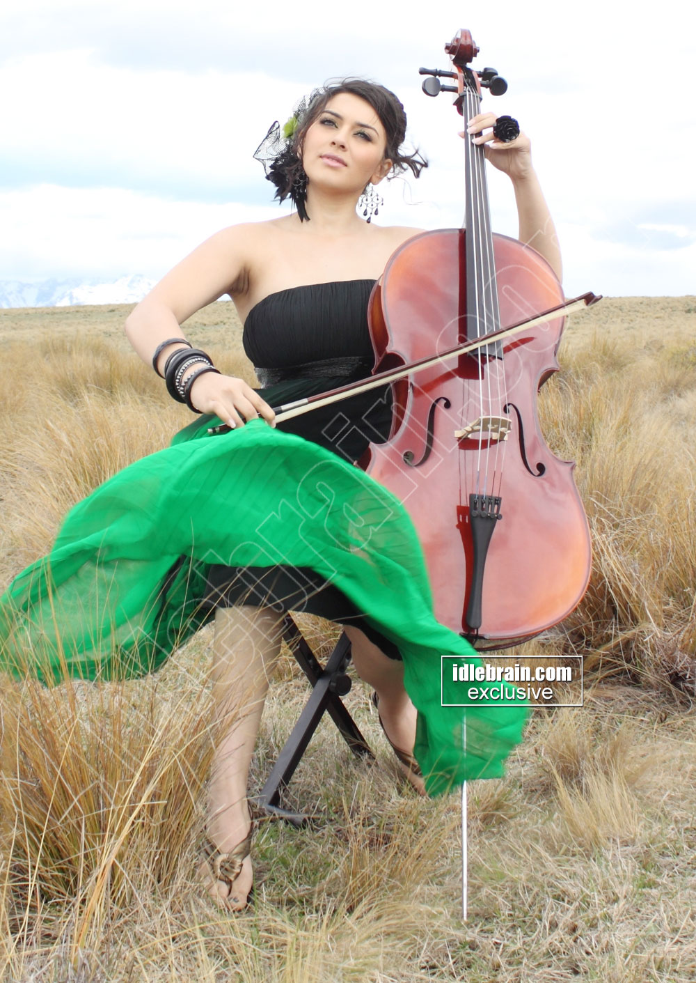  Hansika Motwani in green and black dress - (4) -  Hansika Motwani Latest Wallpapers - June 2012