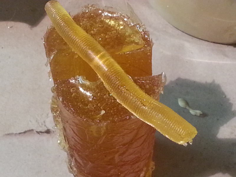 ComposiMold Mold Making Fishing for Ecofriendly Fish Bait That You