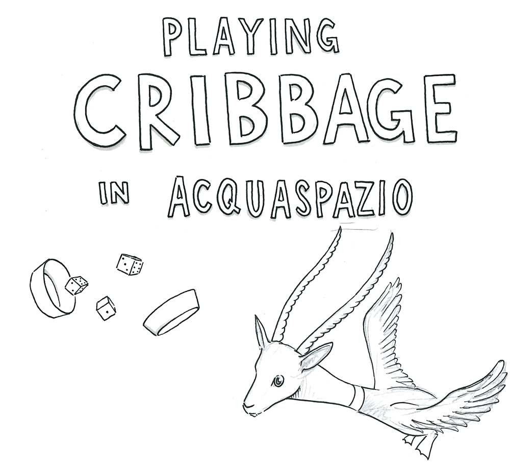 Acquaspazio The Rules Of Cribbage
