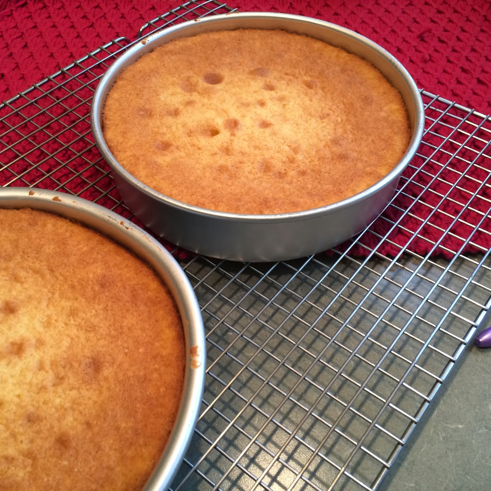 PiX FiZ Whipped Cream Cake