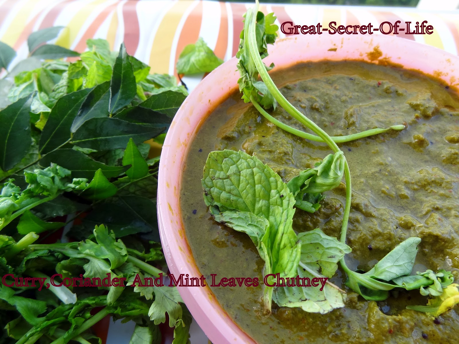Curry, Coriander and Mint Chutney Greatsecretoflife