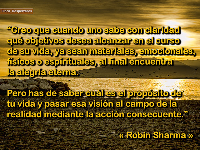 Robin Sharma