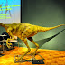 Saltillomimus rapidus: Exhiben nueva especie de dinosaurio descubierto en Coahuila